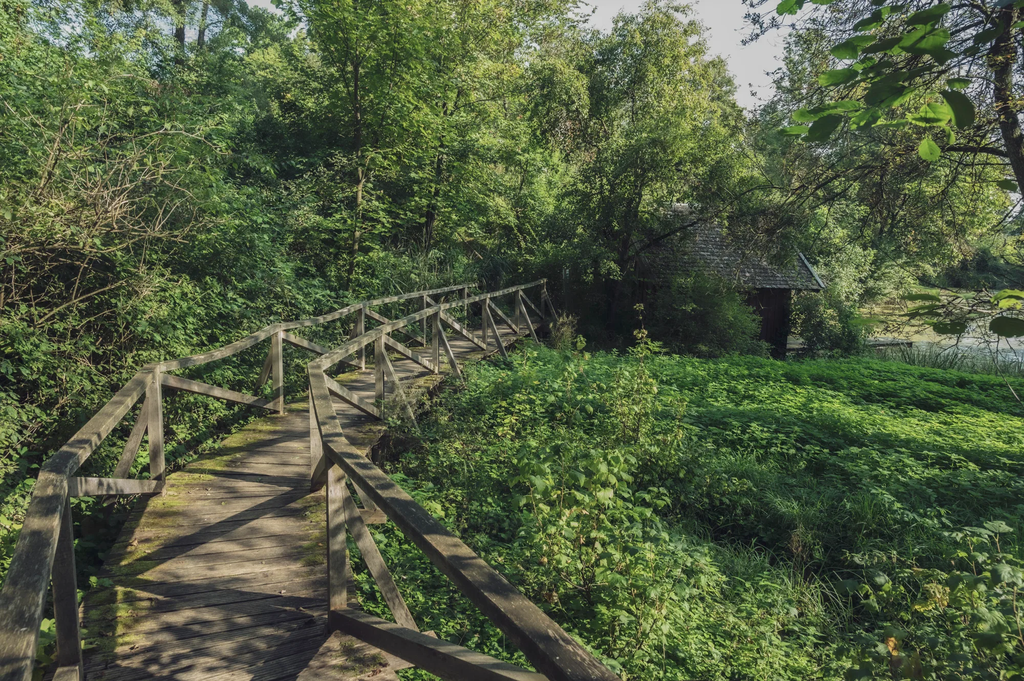Wooden boardwalk with railings leading past an old boathouse through lush wetland — Fünfseenland for SEEMAGAZIN, editorial travel and landscape photography by Janina Laszlo, Munich
