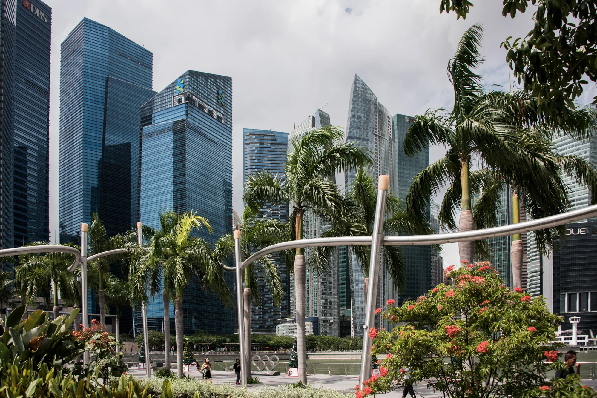 Glass towers of the CBD behind palms along the Marina Bay waterfront — Singapore, architecture and travel photography by Janina Laszlo