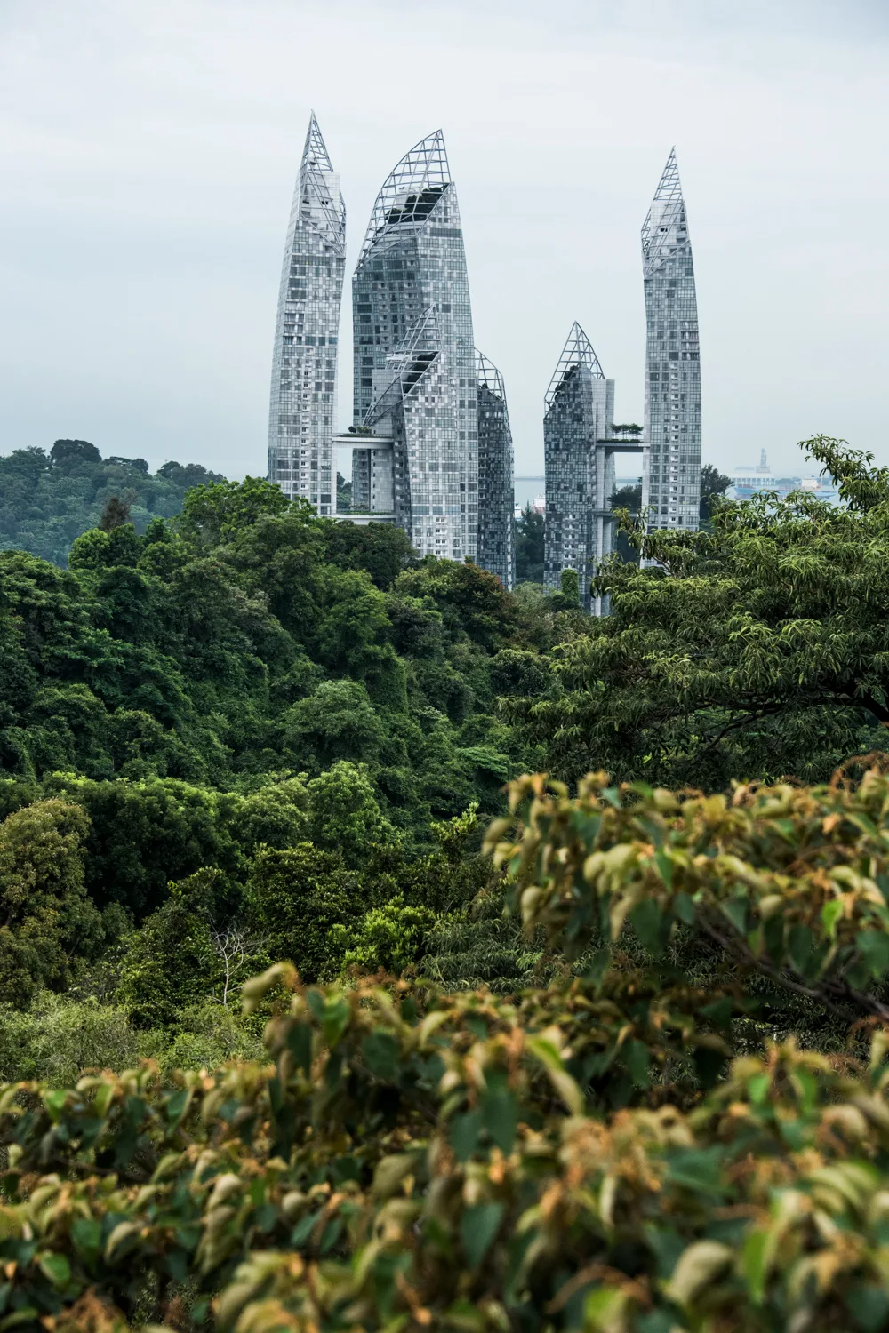 Reflections at Keppel Bay towers rising above rainforest — Singapore, architecture and travel photography by Janina Laszlo