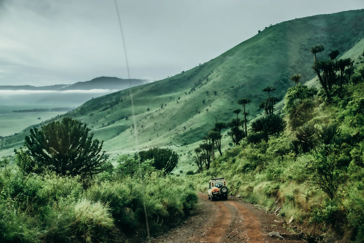 Safari jeep on a red dirt road winding down the misty, euphorbia-covered crater wall, Ngorongoro — Tanzania, travel and wildlife photography by Janina Laszlo