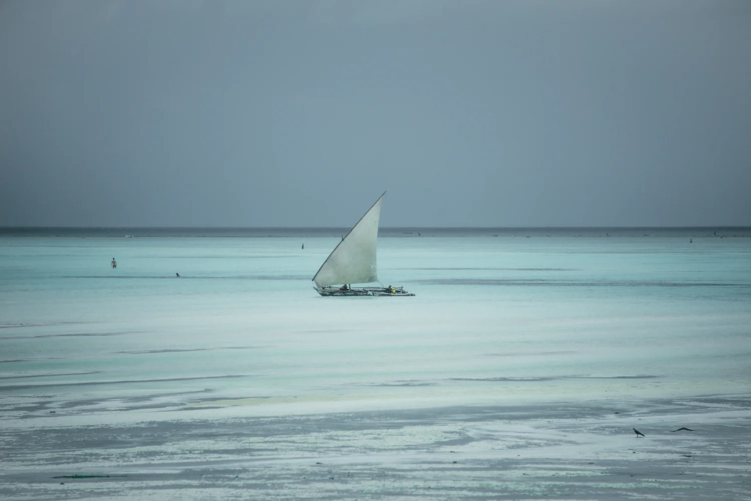 Traditional dhow with a white lateen sail on the turquoise shallows at low tide, Zanzibar — Tanzania, travel and wildlife photography by Janina Laszlo