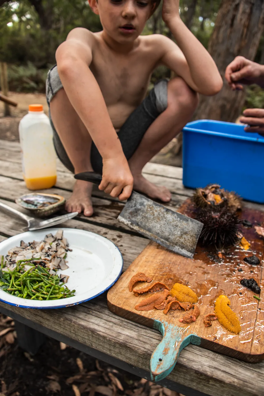 Boy cutting sea urchin roe and abalone on a wooden board outdoors — Tasmania, landscape and travel photography by Janina Laszlo