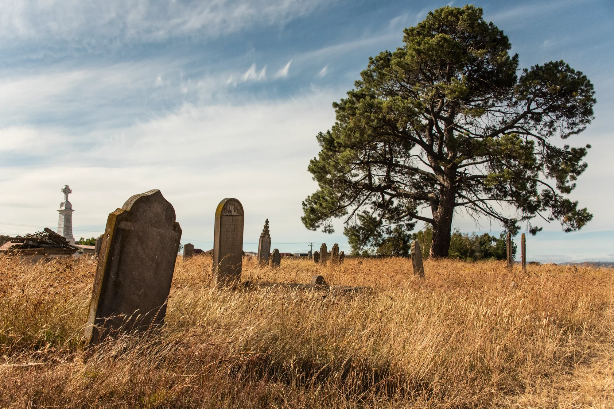 Old weathered gravestones in golden grass under a pine tree — Tasmania, landscape and travel photography by Janina Laszlo