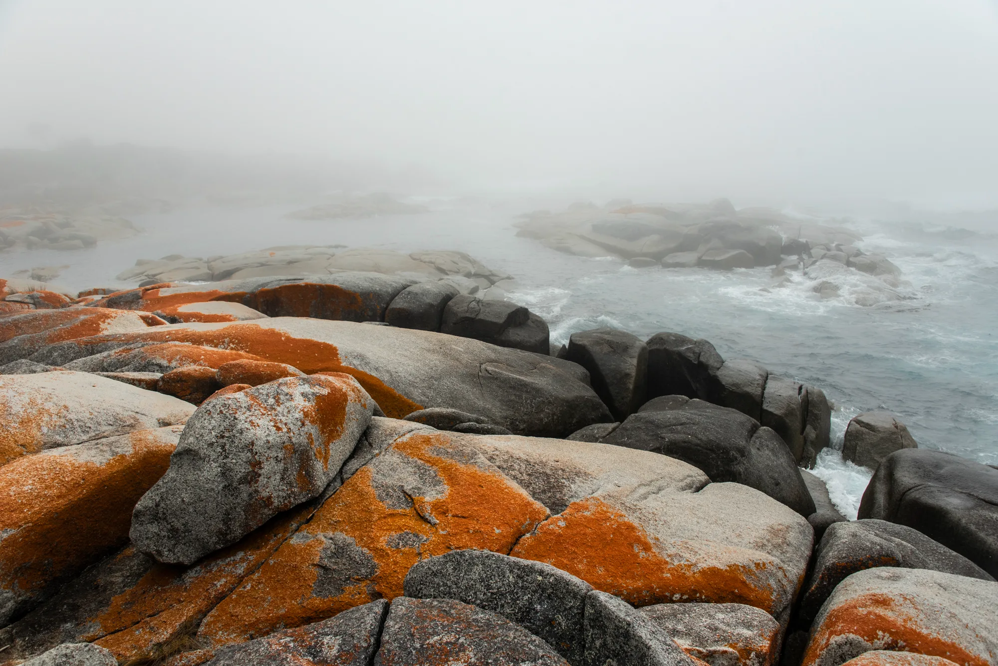 Orange lichen on granite boulders in sea fog, Bay of Fires — Tasmania, landscape and travel photography by Janina Laszlo