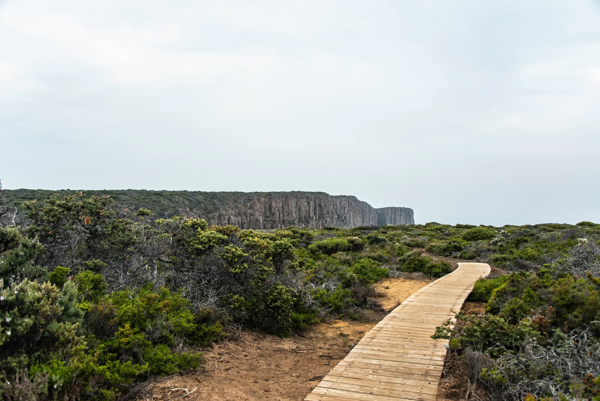 Boardwalk through coastal heath towards dolerite sea cliffs, Tasman Peninsula — Tasmania, landscape and travel photography by Janina Laszlo