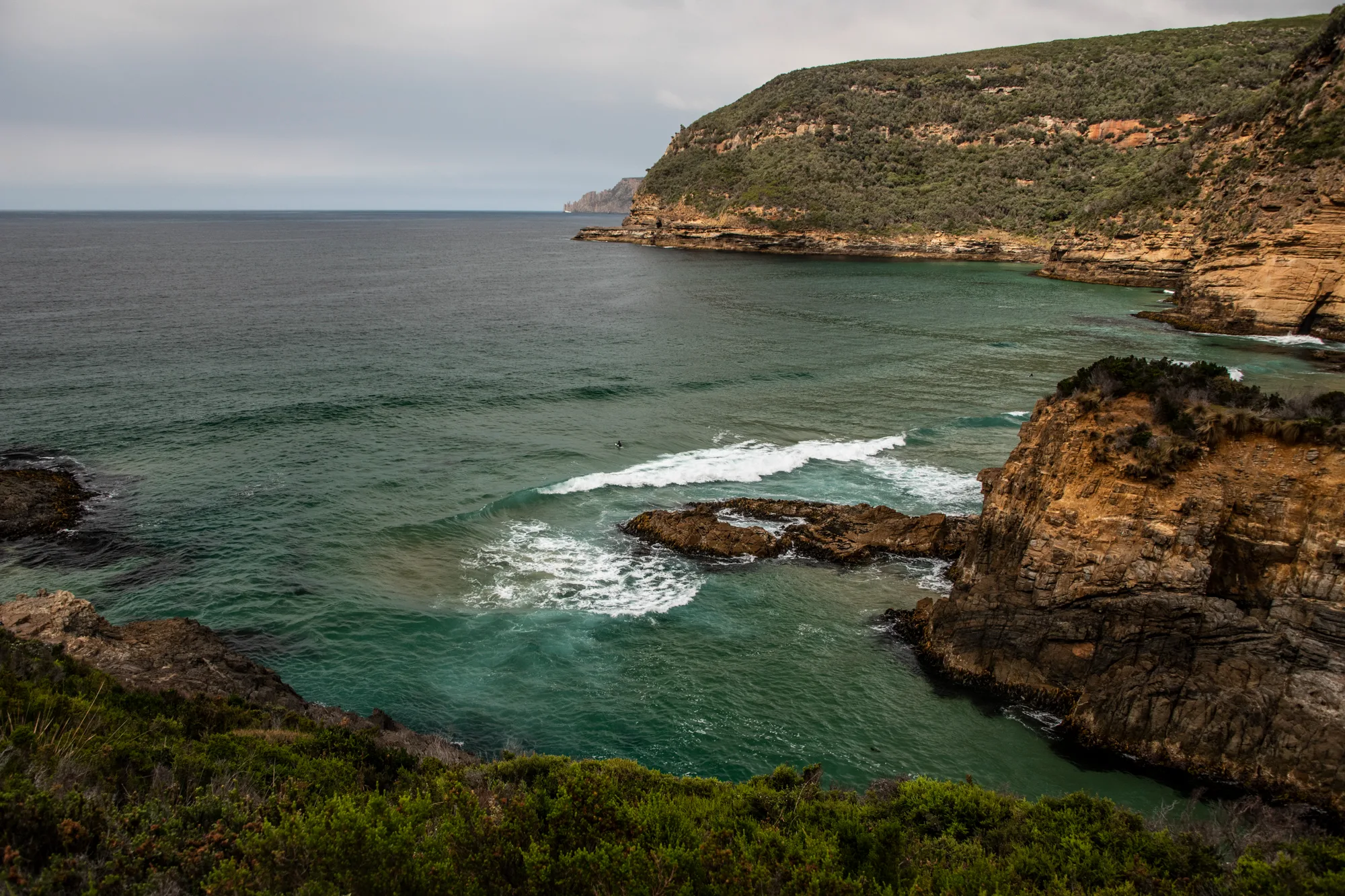 Turquoise bay and sandstone cliffs with a surfer in the swell, Tasman Peninsula — Tasmania, landscape and travel photography by Janina Laszlo