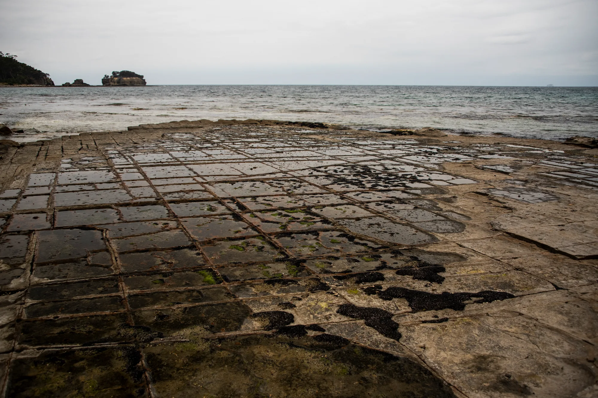 Tessellated Pavement at Eaglehawk Neck — Tasmania, landscape and travel photography by Janina Laszlo