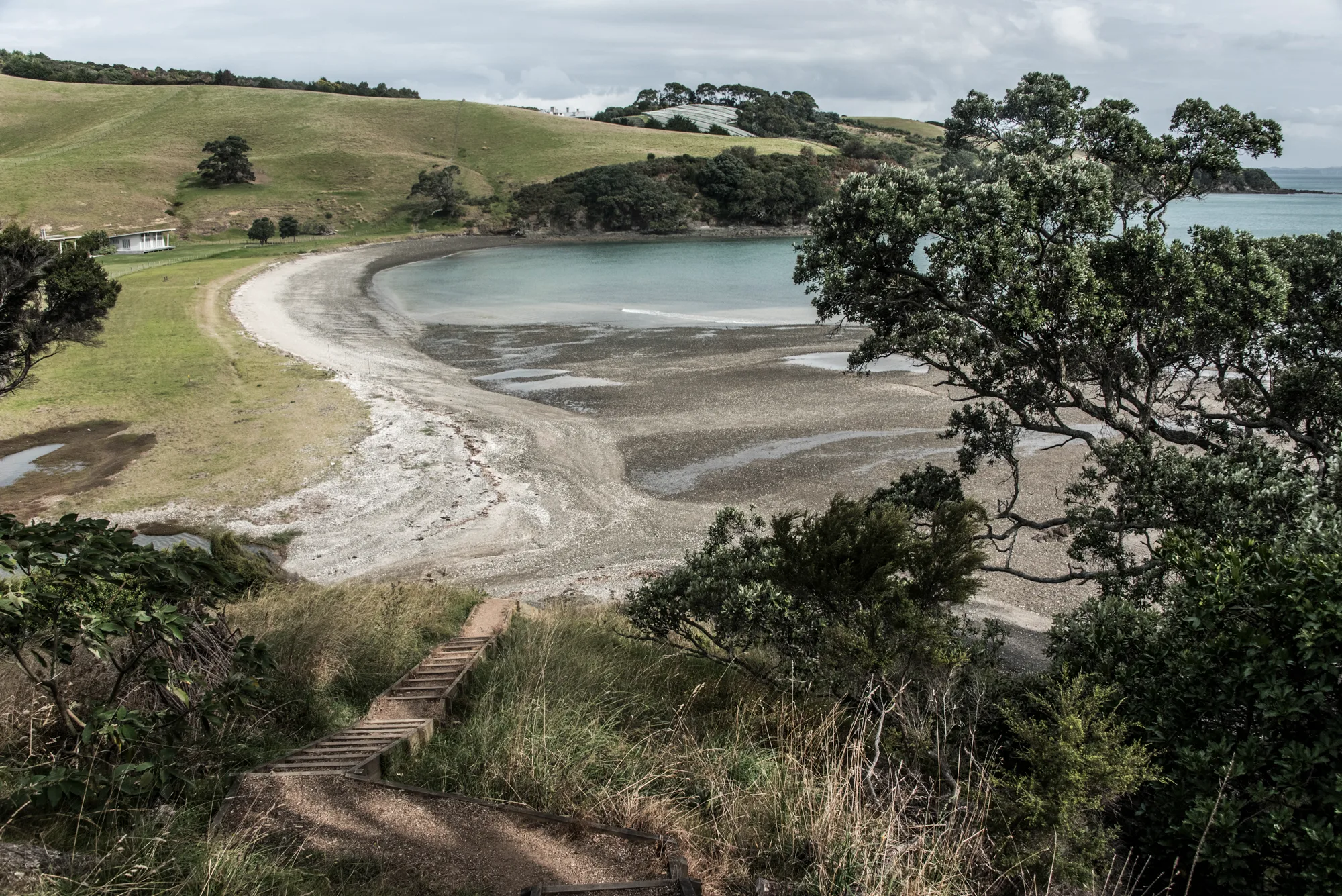 Wooden steps leading down to a curved bay at low tide, Waiheke Island — Waiheke Island, landscape and travel photography by Janina Laszlo
