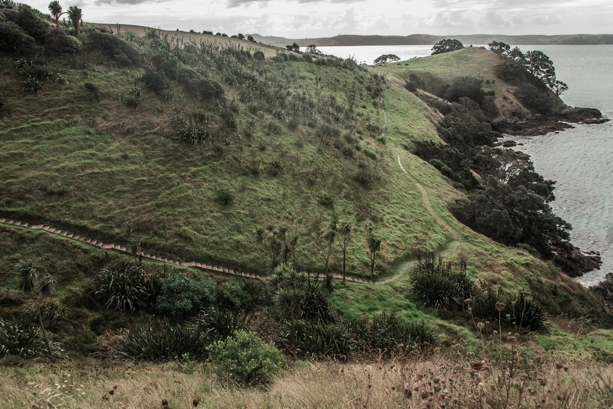 Coastal walking track with stairs over grassy headlands above the Hauraki Gulf, Waiheke Island — Waiheke Island, landscape and travel photography by Janina Laszlo