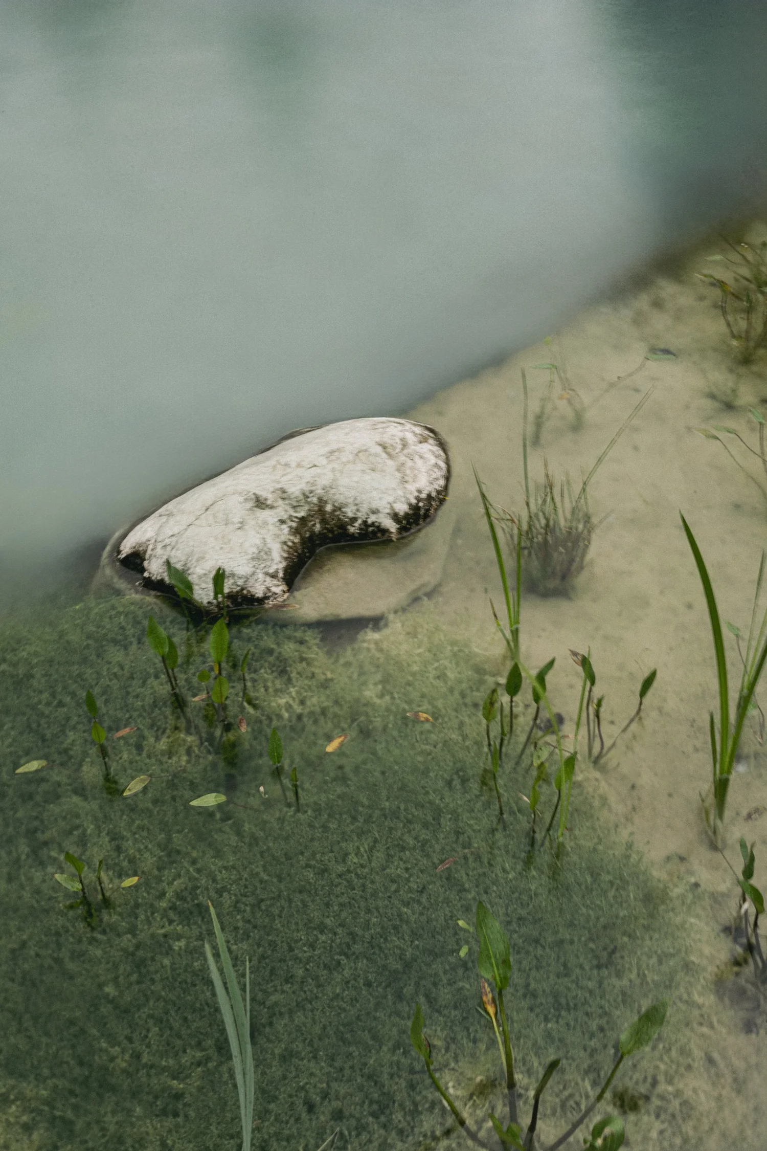 Stone in a grassy mountain brook, nature detail near Zugspitz Resort — campaign photography by Janina Laszlo, Munich