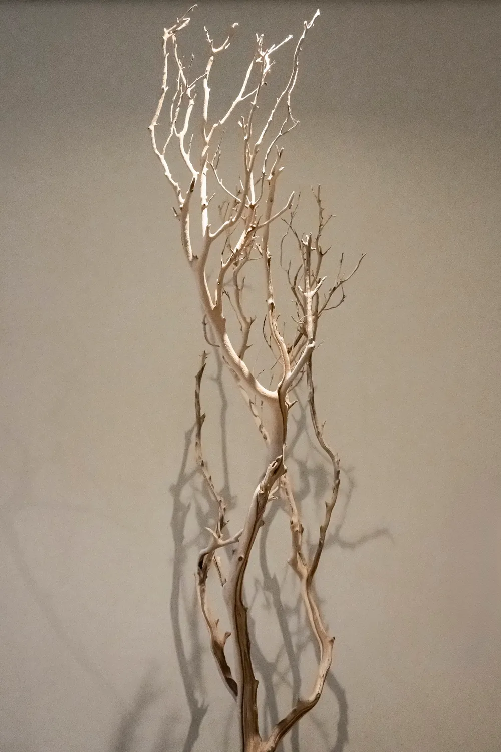 Sculptural dried branch against a grey wall, interior detail, Zugspitz Resort, Ehrwald — campaign photography by Janina Laszlo, Munich